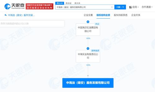 中國海油在雄安成立服務發(fā)展公司，注冊資本1億聚焦網絡技術服務